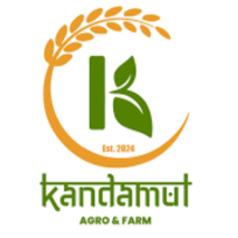 Ferrero Rochar Chocolate