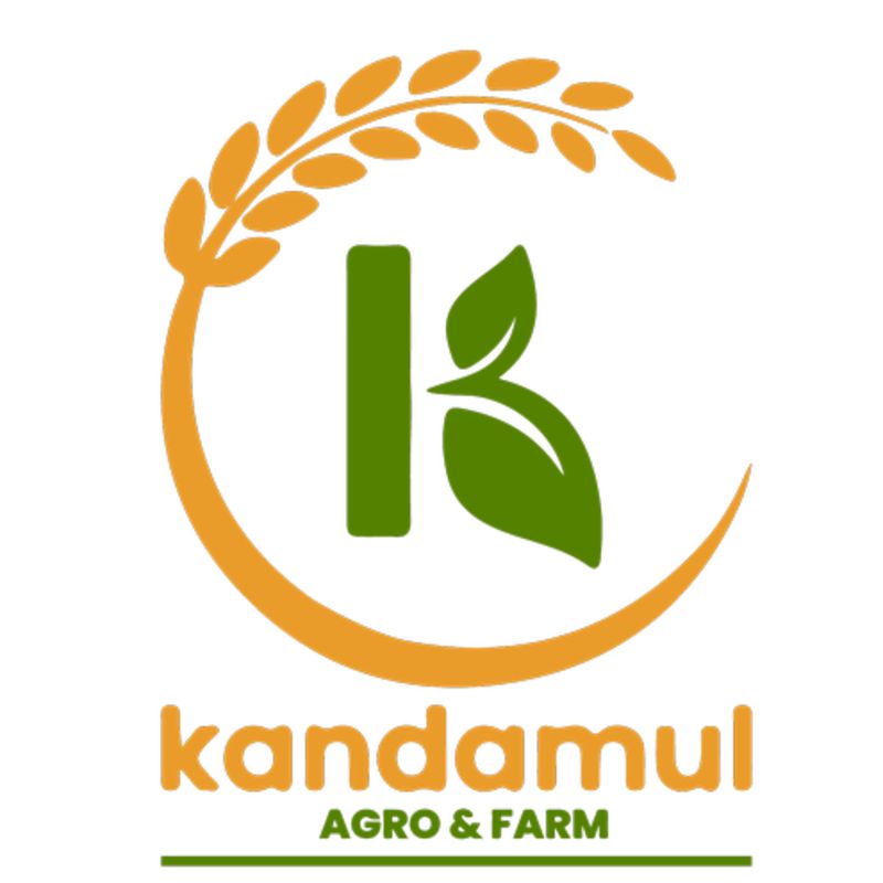 Ferrero Rochar Chocolate single tablet