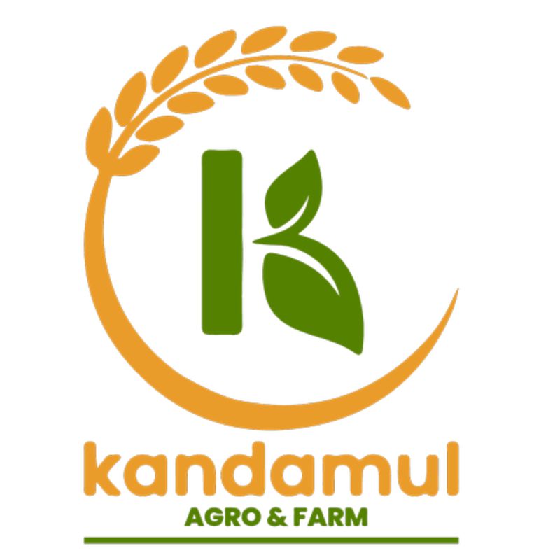 Dairy Milk silk bubbly