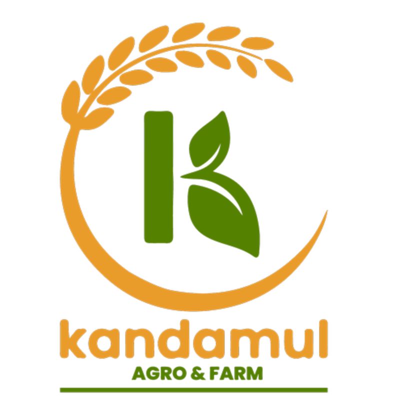 Moringa Powder(500gm)