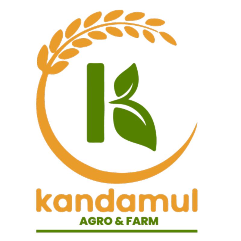 Lemon Chuk amilo(250gm)