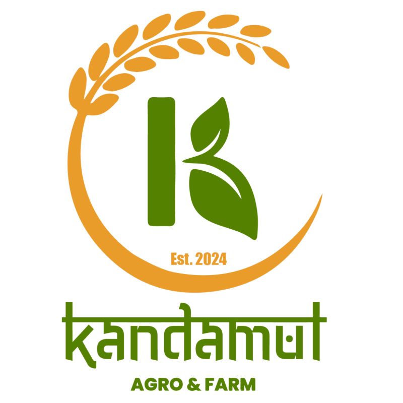 Sudha Tori Ko Tel (500ml)