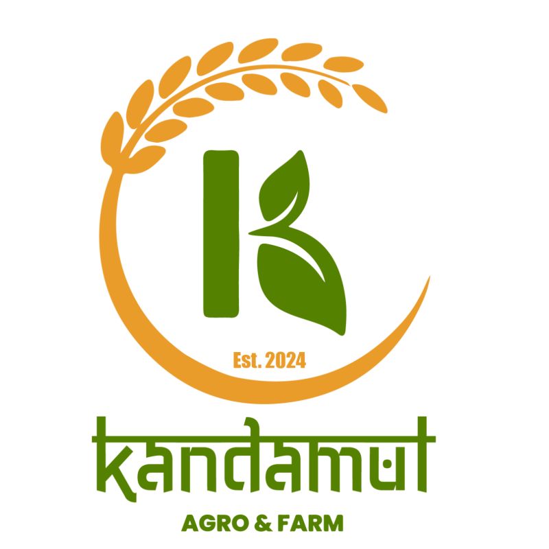 makai ko chyakhla (seto) (1kg)