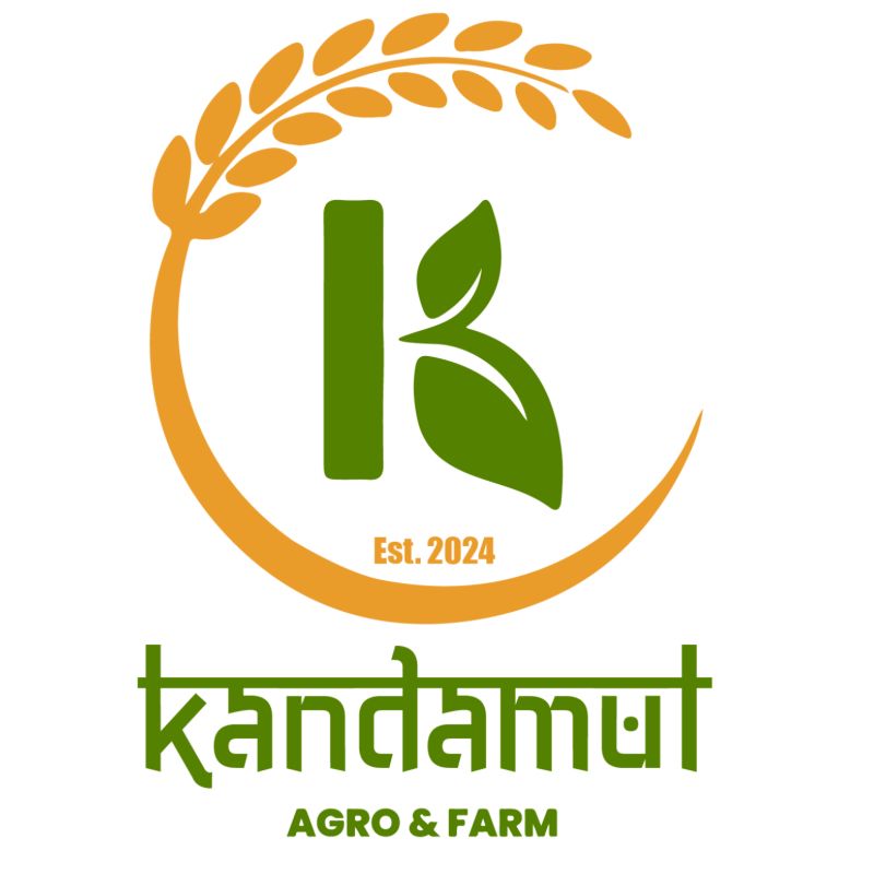 Kitkat Caramel Chocolate (1pcs)