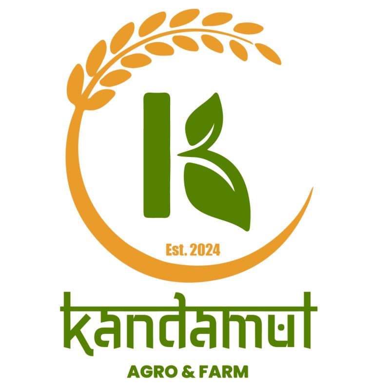 Kitkat Dark Delight (1 box)