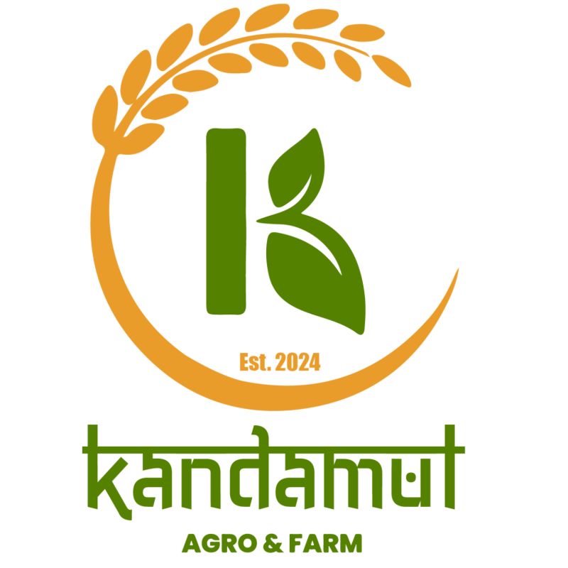 Panipuri Masala (1 pcs)