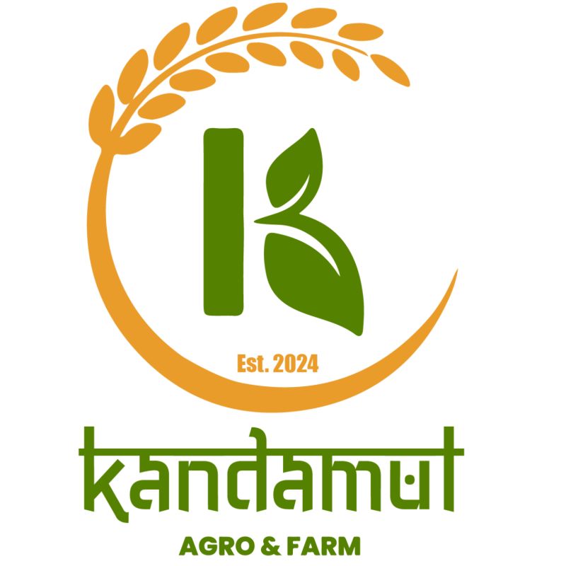 Chatpate Masala (1pcs)