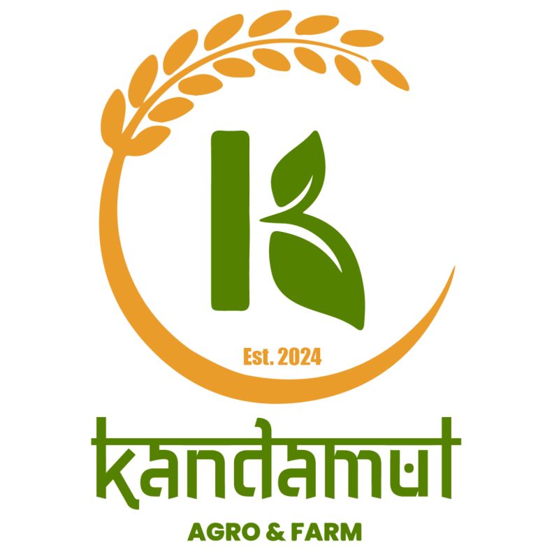 Instant Powder Pickle (100gm)