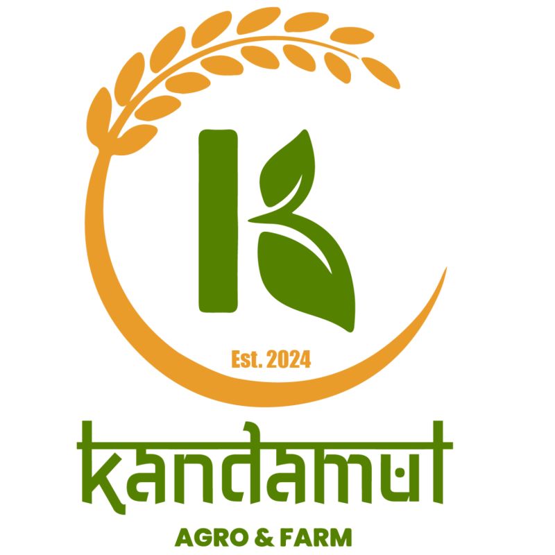 Chicken masala (1pcs)