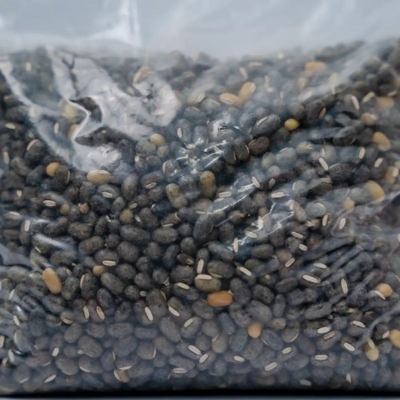 Masyang daal