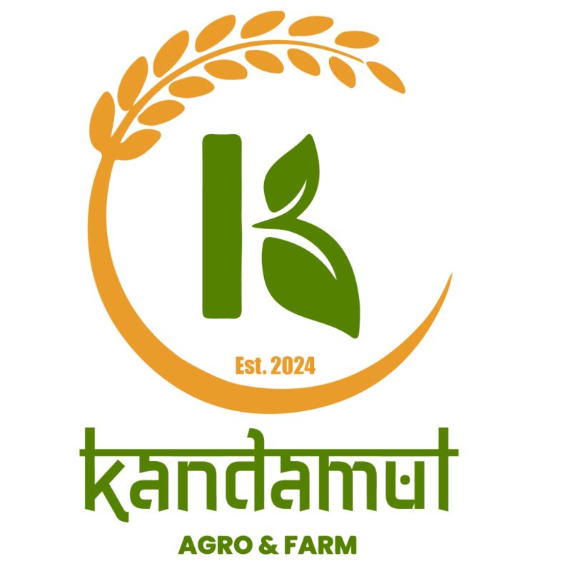 Gond katira (half kg)